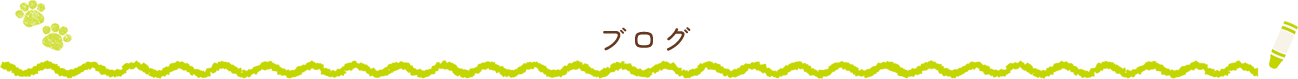 ブログ