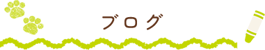 ブログ